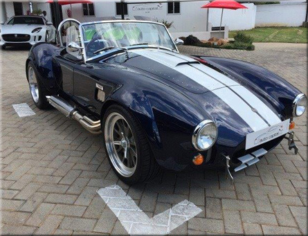 cobra_5.3_auto01