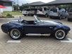 thumb_cobra_5.3_auto01