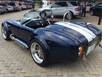 thumb_cobra_5.3_auto01