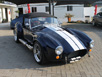 cobra_5.3_auto
