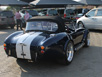 cobra_5.3_auto